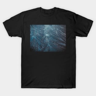 Frost 25 T-Shirt